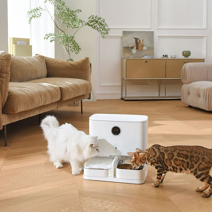 Alimentador de alimentación automático del animal doméstico 6L y exhibición del LCD del dispensador del agua para los gatos/los perros 0